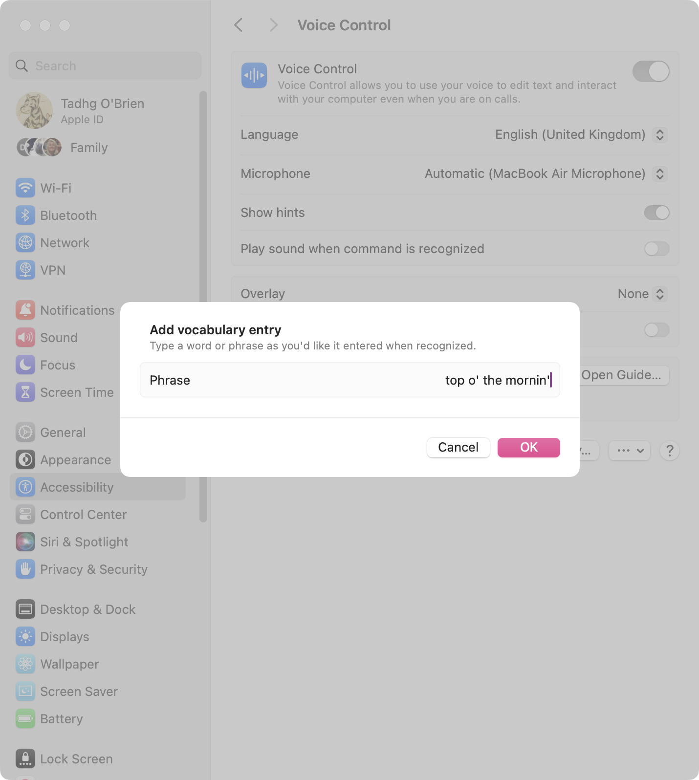 macOS voice control guide